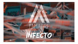 Tamadre - Infecto