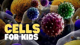 Cells for Kids | Learn about cell structure and function in this engaging and fun intro to cells