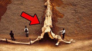 Archaeologists and Historians Were Forbidden to Study These Finds, So as Not to Rewrite History!
