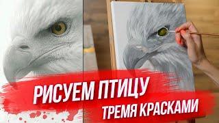 ШИКАРНАЯ КАРТИНА ТРЕМЯ КРАСКАМИ / РИСУЕМ ПТИЦУ АКРИЛОМ