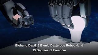 Biohand DexH13: Next-Gen AI-Powered Tactile Robotic Hand for Precision & Versatility