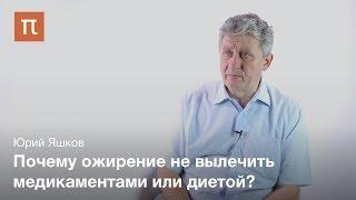 Ожирение как проблема современной медицины - Юрий Яшков