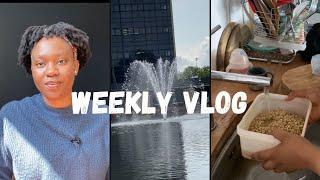 Weekly Vlog: Another stressful day at school| Building a library for my daughter| Wall film