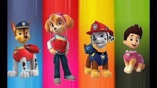 Finger Family Paw Patrol - Wrong Heads Paw Patrol Finger Family for Kids