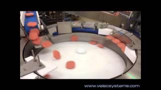 IQF Burger phaser | Velec Systems 