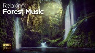 Relaxing Forest Music - HD Waterfalls & Nature Sounds - Aadhan Music - Sleep/Study/Stress Relief