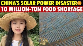 China’s Government Gone Crazy, Solar Panels Blanket Farmland, Causing A 10 Million-Ton Food Loss