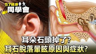 耳朵石頭掉了？耳石脫落暈眩原因與症狀？【@57healthy 】2024.06.15｜陳柏臣 李婉萍 黃文華 張翠芬