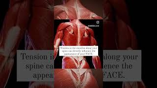 THIS is how your BACK affects your FACE