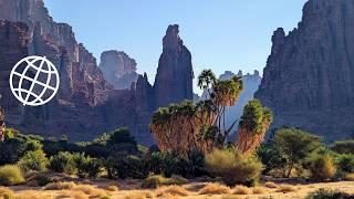 Wadi Al-Disah: Saudi Arabia’s Hidden Paradise in the Desert  [Amazing Places 4K]