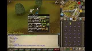 runescape v0p pur3s