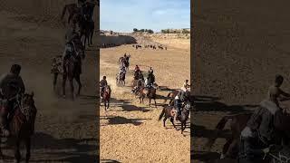 Kupkari #kupkari #horse #sports