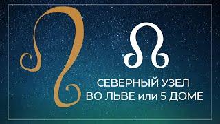 Северный узел, Раху в 5 доме или во Льве, Южный узел, Кету в 11 доме или в Водолее