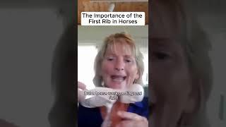 The Importance of the First Rib in Horses | Holistic Horseworks
