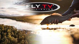 FLY TV - Epic DRY FLY Fishing for Big Grayling