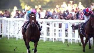 The Frankel Story - BBC Sport