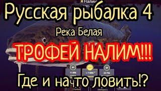 РР4. Где и на что ловить ТРОФЕЙ Налима на реке Белая!?