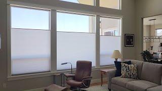 Motorized Honeycomb Shades.mp4