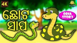 ଛୋଟ ସାପ - The Small Snake in Odia | Odia Story | Fairy Tales in Odia | Koo Koo TV Odia