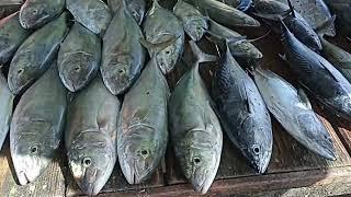 Бо Валон (Beau Vallon beach Seychelles) . Медузы на пляже, take away - обзор дня на Сейшелах