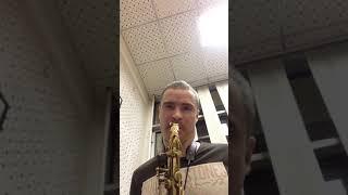 Sergey Maltsev - Gyardala mouthpiece alto trad bop tip op 084