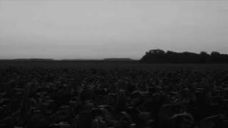 Austere - Just For A Moment...