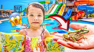  DORA ENCONTROU UM SAPO NA PISCINA  ISADORA MASUDINHA 