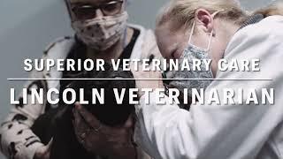 Superior Veterinary Care