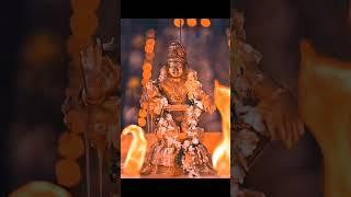 swamiye saranam ayyappa#shorts#ayyappa swamy#ayyappa songs##devotional songs