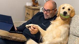 When Your Dog Has More Personality Than You  Funny Dog and Owner Videos 2025