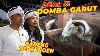 AWESOME!! BRING GARUT SHEEP FROM GARUT WHILE IN A CONVOY PERSIB WINS!!