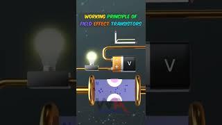 Working Principle of FET Field Effect Transistors #fet #mosfet #transistor #transistors