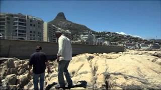 Shoreline. Discovering South Africa's Coastline.  Cape Town to Cape Point