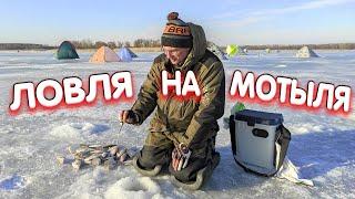 Дядя Фёдор ловит на мотыля! Зимняя рыбалка на Печенежском водохранилище.