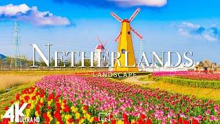 Netherlands 4K - Scenic Relaxation Film With Calming Music (4K Video Ultra HD)