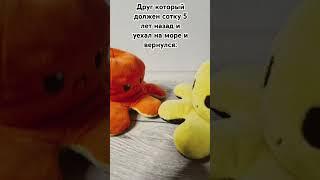 Дори?дя#спрутельник