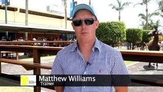 Australian Thoroughbred Bloodstock MM Lot 369