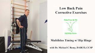 Low Back Pain Corrective Exercises- Multifidus Timing Hip Hinge