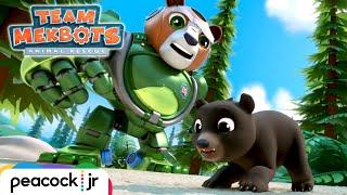 This Baby Bear Needs to Go to BED!  | TEAM MEKBOTS: ANIMAL RESCUE
