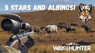 Albinos and 5-stars! Cape Buffalo Hunt! | Way of the Hunter