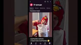 ПРИКОЛ НАД МЕЛКИМ (смешное видео, юмор, приколы, поржать, прикол)