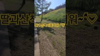 #사업에지친딸을위로하는아빠/힘내라ㆍ딸아!~~