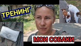 Тренинг / Что в моей сумочке?