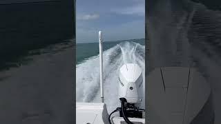 Mercury 250hp water test #floridakeys #flkeys #keylargo #watertest #boat #keys #boating #fishing