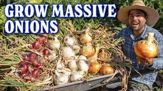 My 5 Tips For PERFECT Onions! | Plant, Harvest, and Cure