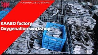 Kaabo Inside The Factory |  How Oxygenation Process Works | Oxygenation Workshop Kaabo Official
