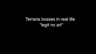 Terraria bosses in real life *NO ART* part 1