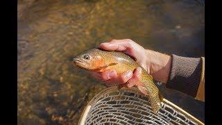 Medano Creek Fly Fishing and Jeep Trail (Great Sand Dunes NP)