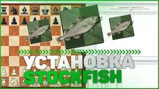 КАК УСТАНОВИТЬ STOCKFISH/туториал