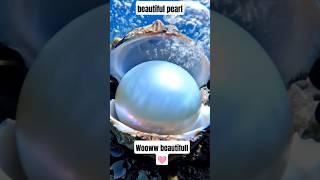 The Last Pearl Diver: A Journey Into the Depths of a Lost Art